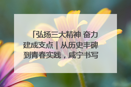 弘扬三大精神 奋力建成支点｜从历史丰碑到青春实践，咸宁书写精神传承新篇章