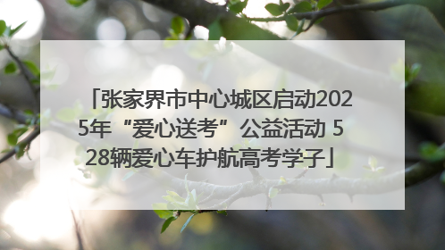 张家界市中心城区启动2025年“爱心送考”公益活动 528辆爱心车护航高考学子