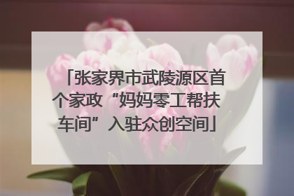 张家界市武陵源区首个家政“妈妈零工帮扶车间”入驻众创空间
