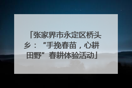 张家界市永定区桥头乡：“手挽春苗，心耕田野”春耕体验活动