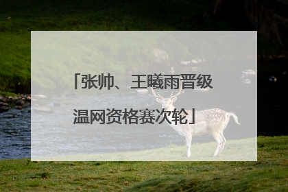 张帅、王曦雨晋级温网资格赛次轮