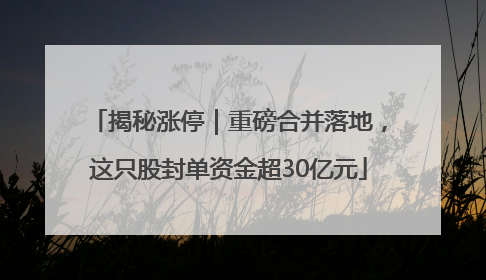 揭秘涨停｜重磅合并落地，这只股封单资金超30亿元