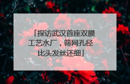 探访武汉首座双膜工艺水厂，筛网孔径比头发丝还细