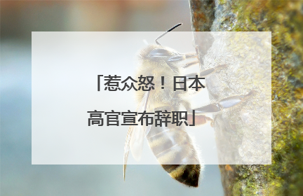 惹众怒！日本高官宣布辞职