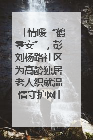 情暖“鹤耋安”，彭刘杨路社区为高龄独居老人织就温情守护网