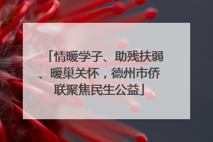 情暖学子、助残扶弱、暖巢关怀，德州市侨联聚焦民生公益