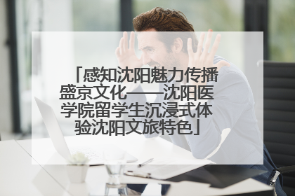 感知沈阳魅力传播盛京文化——沈阳医学院留学生沉浸式体验沈阳文旅特色