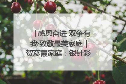 感恩奋进 双争有我·致敬最美家庭｜贺彦霞家庭：银针彩线绣出好日子