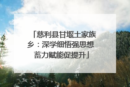 慈利县甘堰土家族乡：深学细悟强思想 蓄力赋能促提升