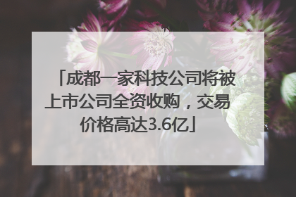 成都一家科技公司将被上市公司全资收购，交易价格高达3.6亿