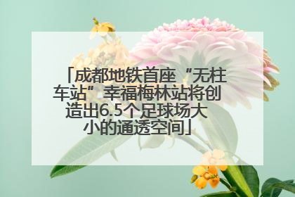 成都地铁首座“无柱车站”幸福梅林站将创造出6.5个足球场大小的通透空间