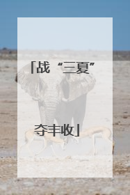 战“三夏” 夺丰收