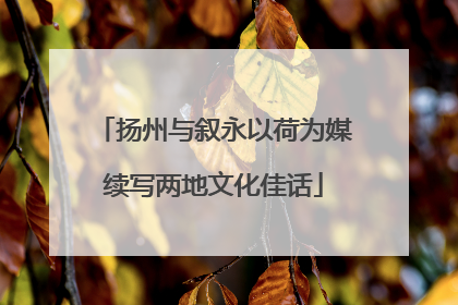 扬州与叙永以荷为媒续写两地文化佳话