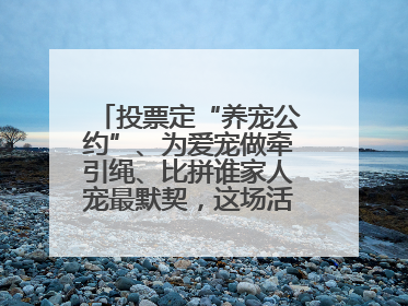 投票定“养宠公约”、为爱宠做牵引绳、比拼谁家人宠最默契，这场活动有趣更有意义