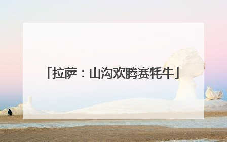 拉萨：山沟欢腾赛牦牛