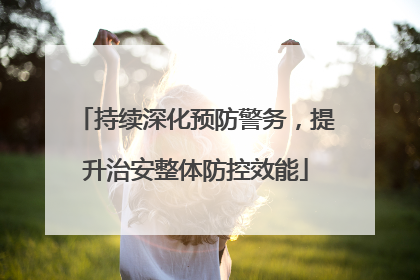 持续深化预防警务，提升治安整体防控效能