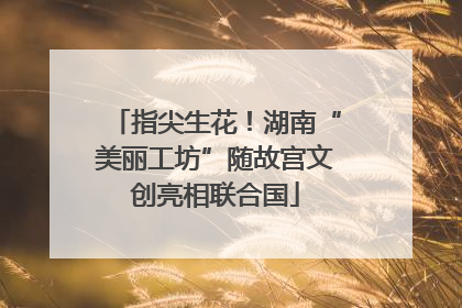 指尖生花！湖南“美丽工坊”随故宫文创亮相联合国
