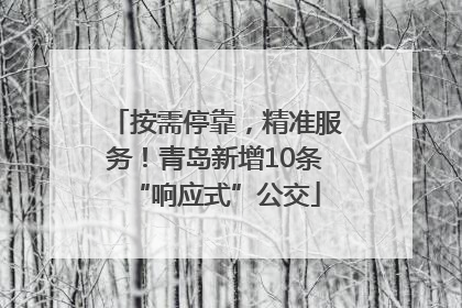 按需停靠，精准服务！青岛新增10条“响应式”公交
