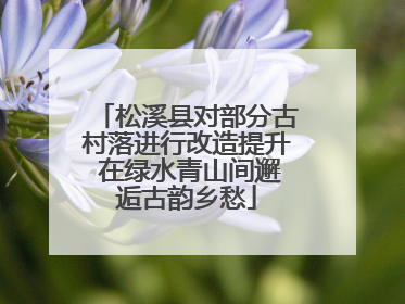 松溪县对部分古村落进行改造提升 在绿水青山间邂逅古韵乡愁
