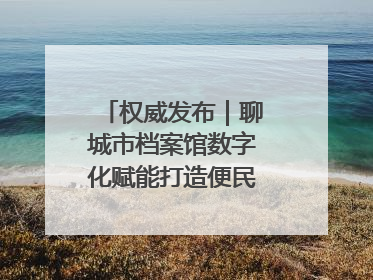 权威发布｜聊城市档案馆数字化赋能打造便民服务新模式