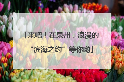 来吧！在泉州，浪漫的“滨海之约”等你哟