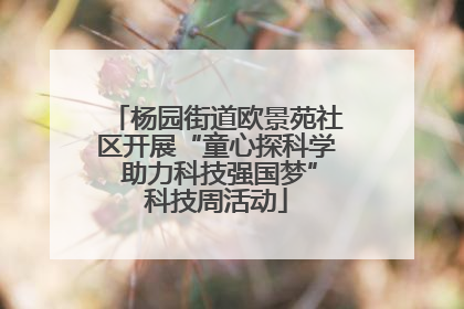 杨园街道欧景苑社区开展“童心探科学 助力科技强国梦”科技周活动