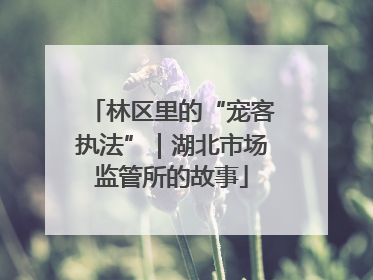 林区里的“宠客执法”｜湖北市场监管所的故事