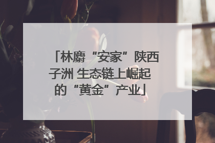 林麝“安家”陕西子洲 生态链上崛起的“黄金”产业