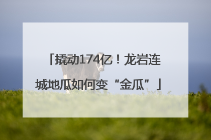 撬动174亿！龙岩连城地瓜如何变“金瓜”