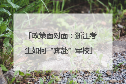 政策面对面：浙江考生如何“奔赴”军校