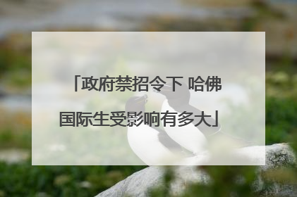 政府禁招令下 哈佛国际生受影响有多大