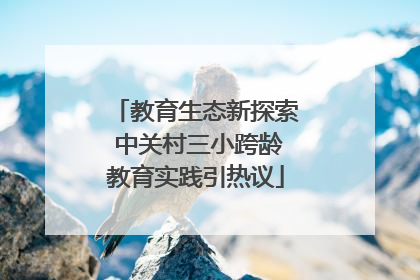 教育生态新探索 中关村三小跨龄教育实践引热议