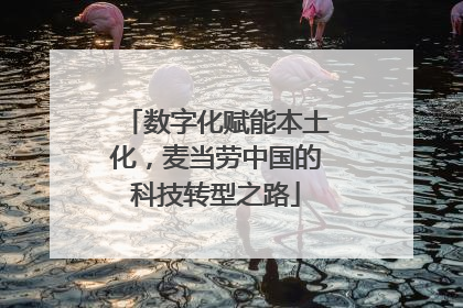 数字化赋能本土化，麦当劳中国的科技转型之路