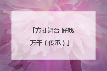 方寸舞台 好戏万千（传承）
