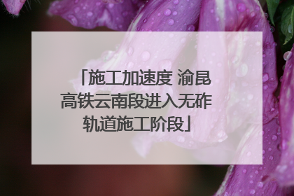 施工加速度 渝昆高铁云南段进入无砟轨道施工阶段