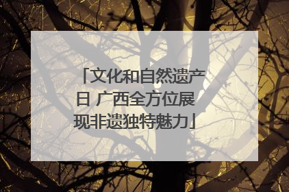 文化和自然遗产日 广西全方位展现非遗独特魅力