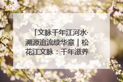 文脉千年江河水·溯源追流续华章｜松花江文脉：千年滋养，奔涌不息