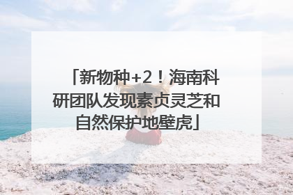 新物种+2！海南科研团队发现素贞灵芝和自然保护地壁虎