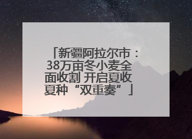 新疆阿拉尔市：38万亩冬小麦全面收割 开启夏收夏种“双重奏”
