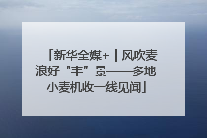 新华全媒+｜风吹麦浪好“丰”景——多地小麦机收一线见闻