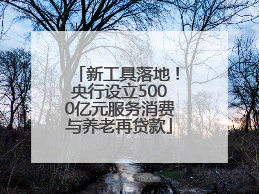 新工具落地！央行设立5000亿元服务消费与养老再贷款