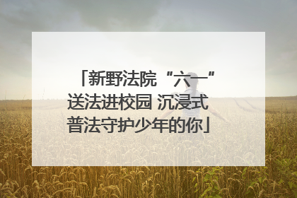 新野法院“六一”送法进校园 沉浸式普法守护少年的你