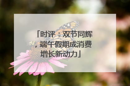 时评：双节同辉，端午假期成消费增长新动力