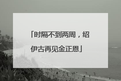 时隔不到两周，绍伊古再见金正恩