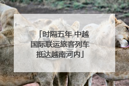 时隔五年 中越国际联运旅客列车抵达越南河内