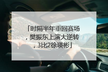 时隔半年重回赛场，樊振东上演大逆转，3比2徐瑛彬