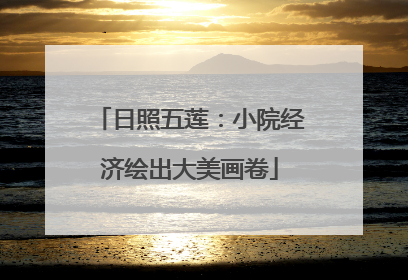 日照五莲：小院经济绘出大美画卷