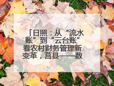 日照：从“流水账”到“云台账”看农村财务管理新变革，莒县——数字赋能激活乡村振兴“一池春水”