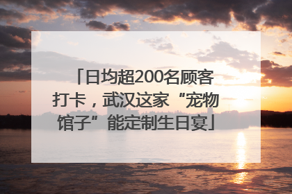 日均超200名顾客打卡，武汉这家“宠物馆子”能定制生日宴