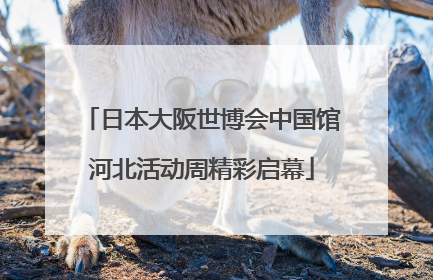 日本大阪世博会中国馆河北活动周精彩启幕